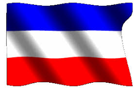 Image result for bandiere francesi