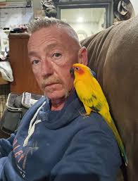 Sun conure Baby 💛💚 Age