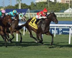 Instilled Regard Breaks Through In Fort Lauderdale Stakes