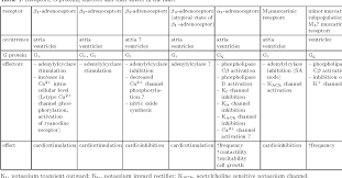 table 1 from regulation of adrenoceptors and muscarinic