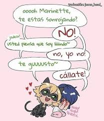 Pin On Imagenes De Miraculous Ladybug