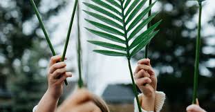 Branches of olive, box elder, spruce or other trees are used in places where palms are not available. Triumphant Prayers For Palm Sunday