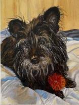 CoCA Member Directory