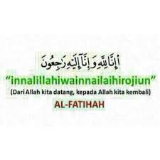 Maybe you would like to learn more about one of these? Vervain Gloxinia