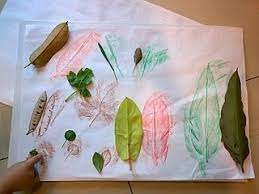 My Journey Leaf Rubbing Fine Motor Activity Fine Motor Activities Preschool Fine Motor Motor Activities