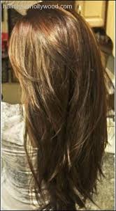 Thick Straight Layered Hair Back View Google Search Long Thin Hair Haircuts For Long Hair With Layers Haircuts For Long Hair