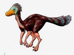 Clipart dans dino clipart dan and phil clipart. Dromaeosaurus Dino Dan Ca Characters Dinos Character Dan