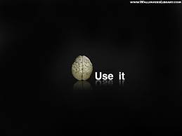 Use It Funny Wallpaper Funny Wallpaper Funny Wallpapers All Hd Wallpaper