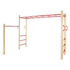 You can build monkey bars in your backyard in a weekend for around $100, and they will be bigger and better than sets you can buy for thousands! A Great Addition To The Backyard The Amazon Monkey Bars Will Provides Lots Of Fun And Promote Upper Body Strength And A Playset Outdoor Swing Set Home Wet Bar