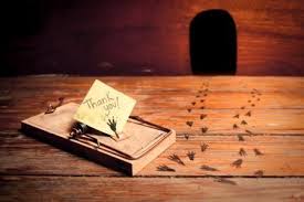 The biggest concern associated with rodents, however, is the spread of disease (including hantavirus and salmonellosis) through their feces. Easy Guide To Hire A Mouse Exterminator That Gets Results