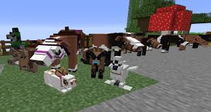 Using running mods in minecraft. Make Your 1 16 3 Minecraft Forge Mod By Mokiyoki Fiverr