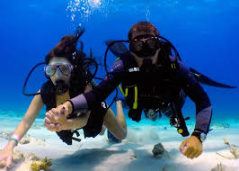 Scuba Diving In Cozumel Without Certification Book From 79