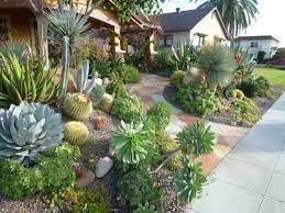 So keep reading for small backyard decorating and landscape design ideas. 36 Cactus Garden Design Ideas Landscaping With Cactus And Rocks