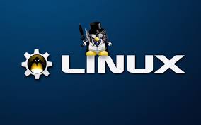 Image result for linux penguin wallpaper