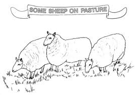 There are choices for kids of all age levels: Farm Animal Coloring Book Small Farmer S Journal