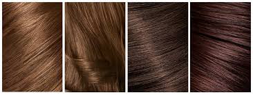 Find your perfect hair extension color match today! Warm Brown Hair Color Pinterest Hair Color Highlighting And Coloring 2016 2017