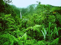 Image result for guadeloupe