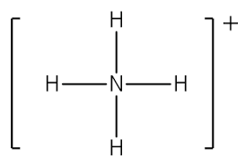 Lewis Structure