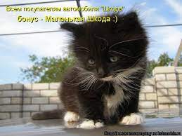 котоматрица / смешные картинки и другие приколы: комиксы, гиф анимация,  видео, лучший интеллектуальный юмор.
