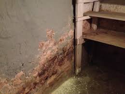 Image result for site:byggahus.se källare-avfuktare