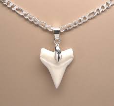 Large Genuine Shark Tooth Necklace Sterling Silver Figaro 080 Etsy Shark Tooth Pendant Shark Tooth Necklace Shark Teeth Jewelry