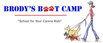 Dog chews, training treats, dog food, joint supplements Brody S Boot Camp Seneca Falls New York