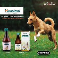 Why is my dogs hair falling out? Buy Himalaya Furglow Coat Supplement For Dog S Shiny And Glossy Coat Dog Food Allergies Dog Supplements Best Dog Supplements