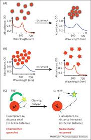 There is a ph at which its activity is greatest (the optimal ph). Gold Nanoparticle Based Biosensors For Detection Of Enzyme Activity Trends In Pharmacological Sciences