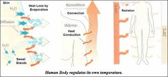 Woe be unto those who are fat: Weather Clothing Temperature Regulated Clothing Thermo Regulated Clothing Shape Memory Materials
