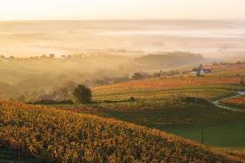 Burgenland is a very lengthy state. Kulinarik Des Sudburgenlands Genussurlaub Im Burgenland