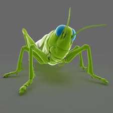 Grasshopper 3d Model Ad Grasshopper Model Grasshopper 3d 3d Model Model