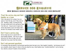 Service Dog Etiquette Do You Know How To Act Around A Service Dog And Their Handler Doganxiet Service Dogs Quotes Psychiatric Service Dog Service Dogs Gear