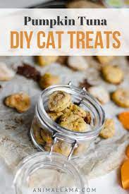 Pin On Treats And Eats Feline Edition
