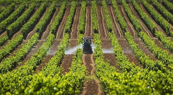 Foto Brasil acelera su producción fertilizante / cortesía