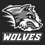 2027 Wolves Baseball Tryouts