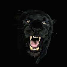 4k Hd Black Panther Animal Wallpaper Doraemon