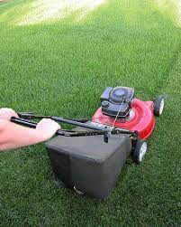 Maybe you would like to learn more about one of these? How To Overseed Or Reseed Your Lawn