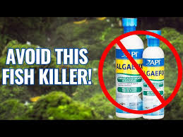 Api Pond Algaefix For Ponds - Universal Pond Supply