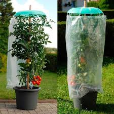 Tomato Hat Set Buy Online At Ahrens Sieberz Garden Deko Saksi Bahceciligi Bitki Vejetaryen Bahceleri