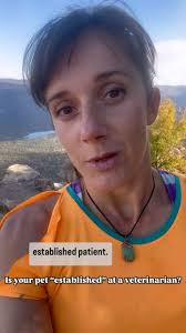 Carly Stephens, DVM, CCRT (@digital_dogtor) • Instagram photos and videos