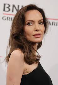 Angelina Jolie chính là người nặc danh đệ đơn kiện FBI để 'hạ gục' chồng cũ  Brad Pitt