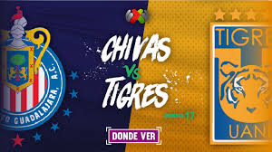 Chivas guadalajara achieved 3 successive wins in the league recently, but tigres uanl grabbed 2 wins and 1 draw in the last 3 rounds. Horario Chivas Vs Tigres 2018 Liga Mx Apertura Proximo Partido Ultima Jornada 17 Futbol Rf
