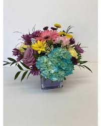 It's because we have the very best drivers who know the ins and outs of san antonio. Lexie S Little Lollipop By Rfs In San Antonio Tx Robert S Flower Shop