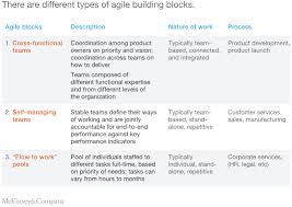 The Five Trademarks Of Agile Organizations Mckinsey