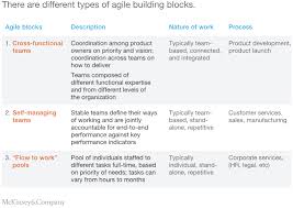 the five trademarks of agile organizations mckinsey