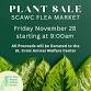 Plant Sale! Black Friday Event event image