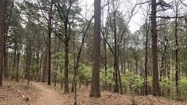OK: Tahlequah Trails and Wine Tales