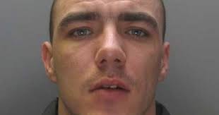 Gangland enforcer who chased down teen and hacked him to death with a  machete fails in bid to clear name