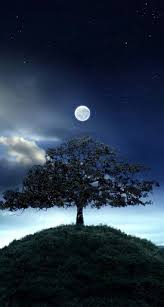 فيلم زنزانة 7 2020 اون لاين. Ø®Ù„ÙÙŠØ§Øª Ø¬Ù…ÙŠÙ„Ø© Ø¬Ø¯Ø§ Ù„Ù„Ù…ÙˆØ¨Ø§ÙŠÙ„ Ù…Ø®ØªÙ„ÙÙˆÙ†