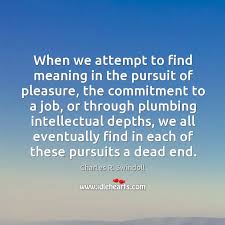 The state or feeling of being pleased or gratified. When We Attempt To Find Meaning In The Pursuit Of Pleasure The Idlehearts